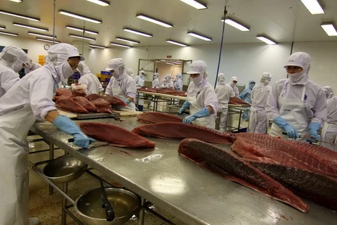 Seafood processing (Photo: VNA)